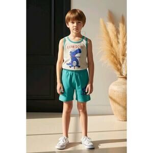 Boys Short Sets Lot Of 7 Each Set Have Different Graphics Size 9 Months